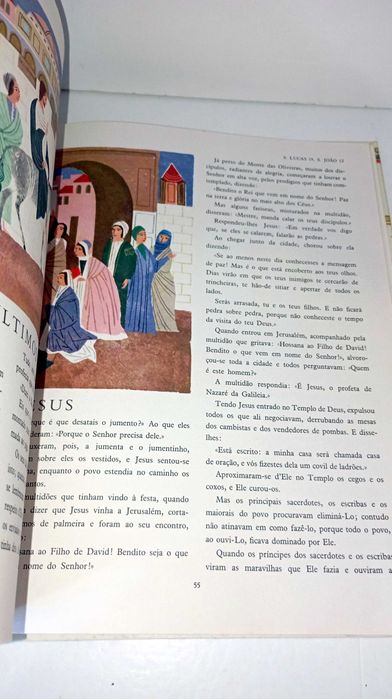 Grande Bíblia Ilustrada - Novo Testamento