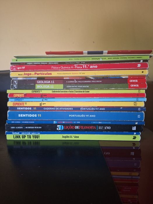 Manuais e cadernos de atividades escolares 11⁰ ano