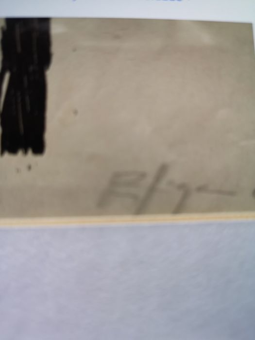 Serigrafia de Espiga Pinto