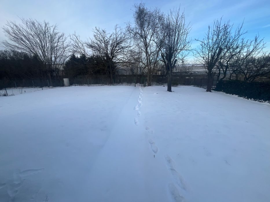 Dzialka ROD Konopnickiej Gniezno