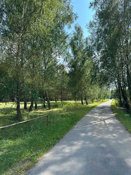 Działka budowlana przy lesie. Warunki zabudowy na 2 domy. Zjazd z A4 - Widok 4
