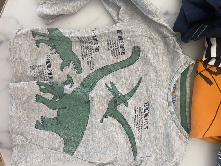 Zestaw 10 koszulek długo rękaw 98/104 psi patrol