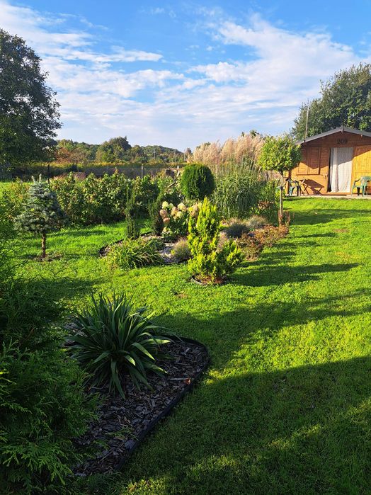 sprzedam działkę ROD