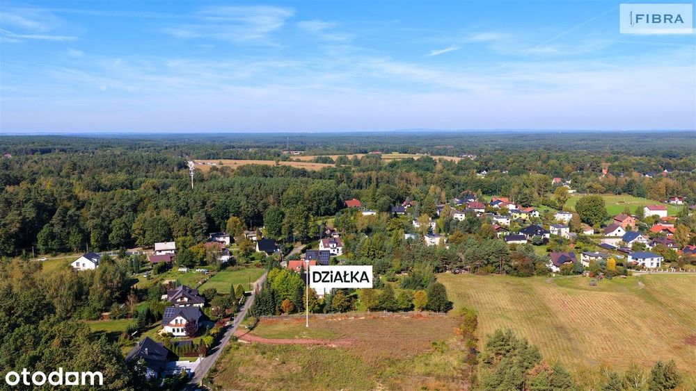 Tam, gdzie śpiewają ptaki