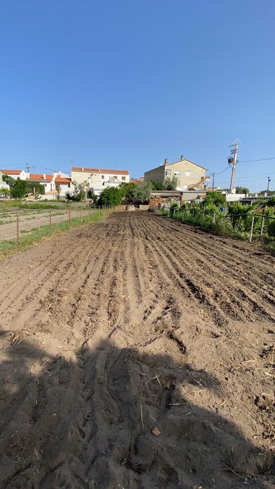 Limpeza de quintais , pequenos e médios terrenos agrícolas