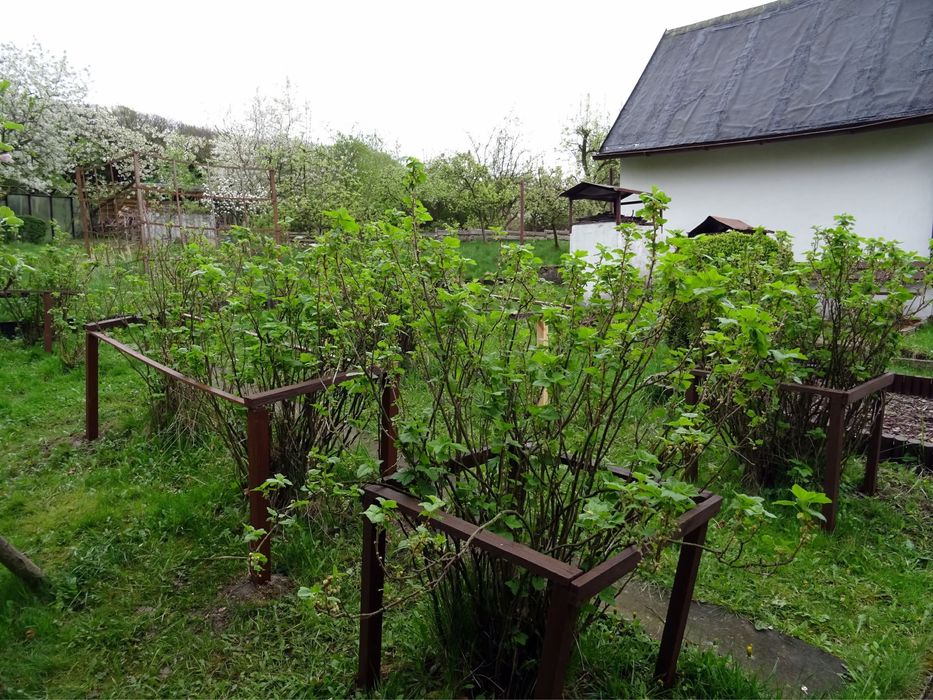 Zdjęcie 5