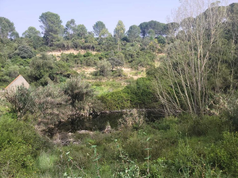 Quinta Urbano + Rústico - Vale Verde - Tremês - Santarém 19,5ha
