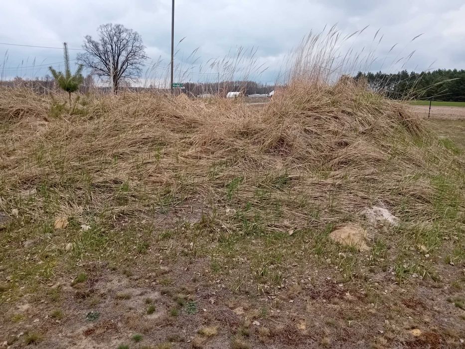Piasek kopany żółty