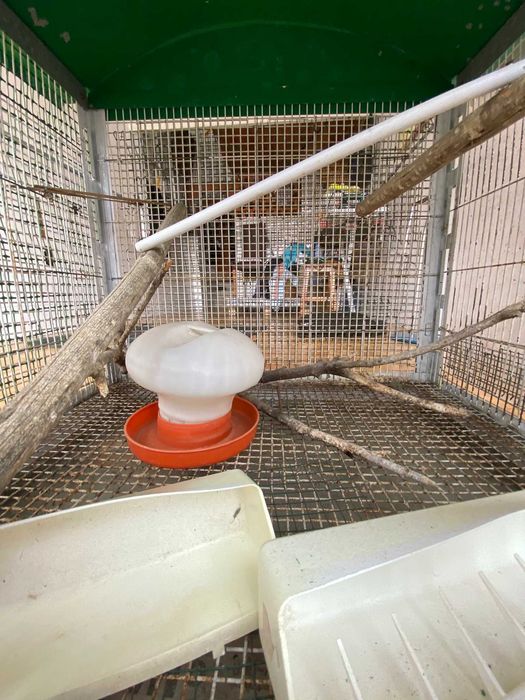 Gaiola Pássaros Grande cerca de 1mx1m