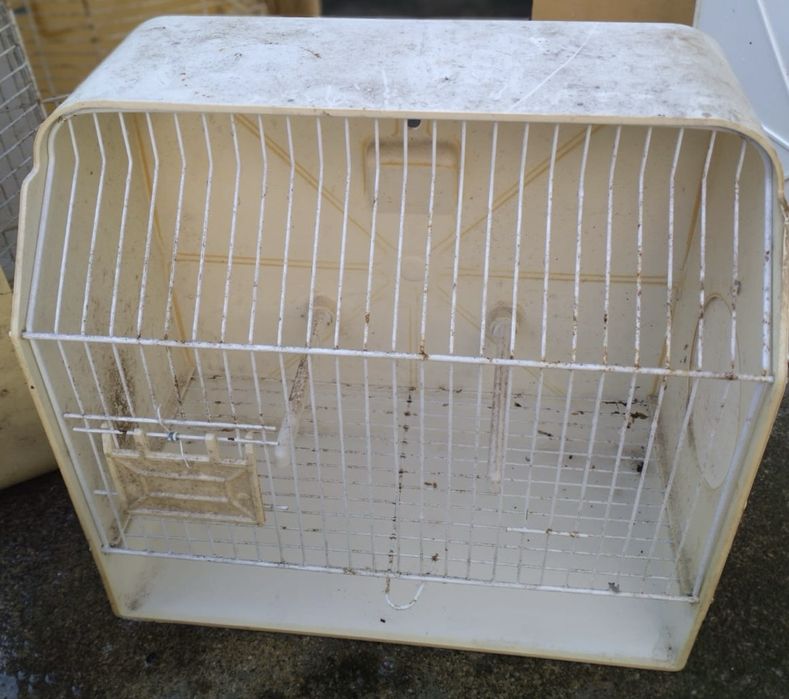 Doze gaiolas de exposição para pássaro