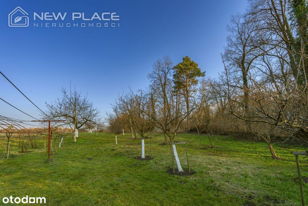 Budowlana 1366 m², Mpzp, pod Środą Śl. 110zł/m2 - Widok 4