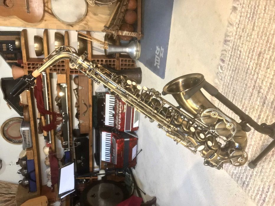 Saxofone ~ conjunto completo de iniciação