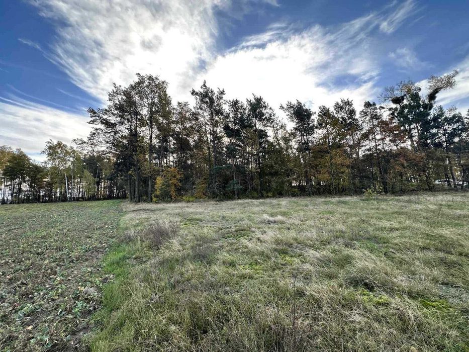Działka na sprzedaż 4800 m 2 budowlana miejscowość Pałczew Gmina Brójce