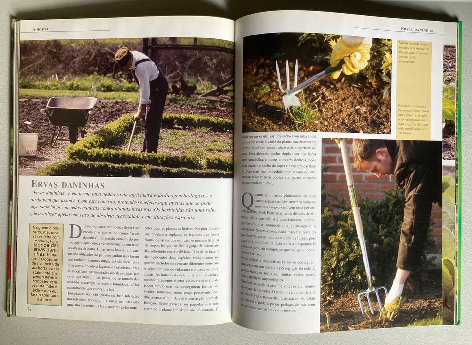 Pequenos Jardins Bem Idealizados