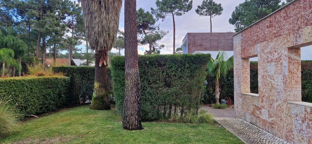 Serviço de jardim e etc.
