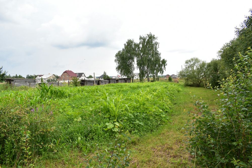 Продам будинок. 33 сотки Можна жити але потребує косметичного ремонту