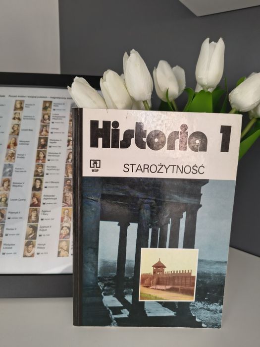 Historia 1 starozytność WSiP podręcznik olimpiada