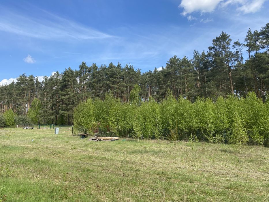 Dzierżawa terenu pod domki holenderskie