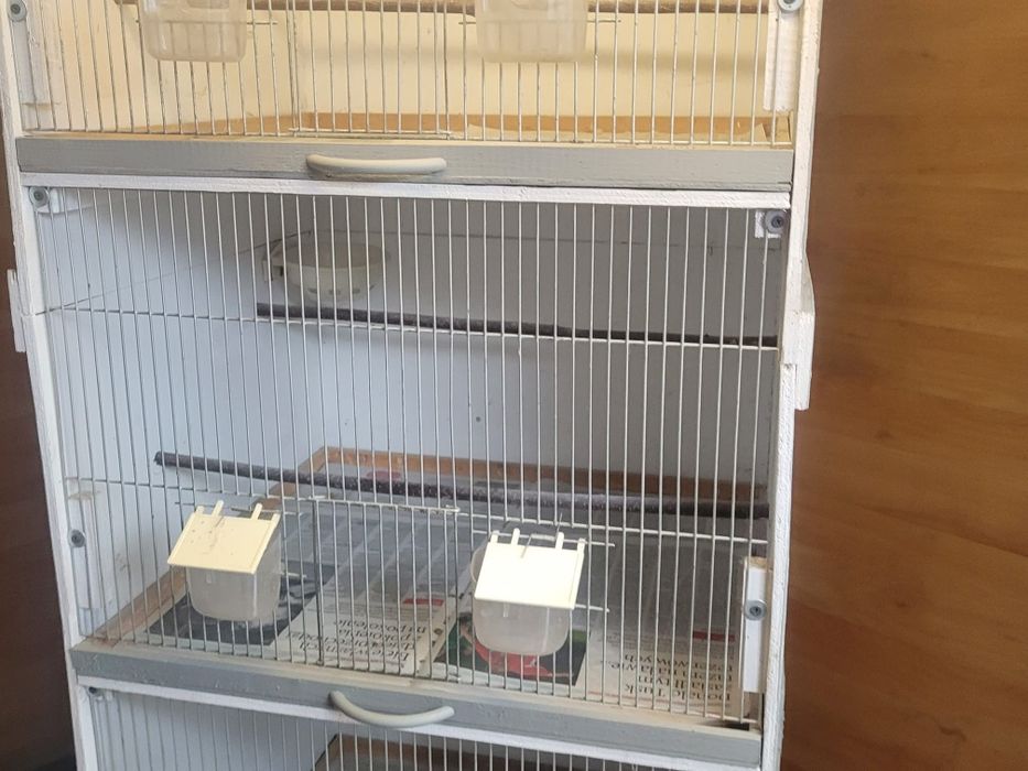 Sprzedam klatki, regały dla ptaków i kanarków