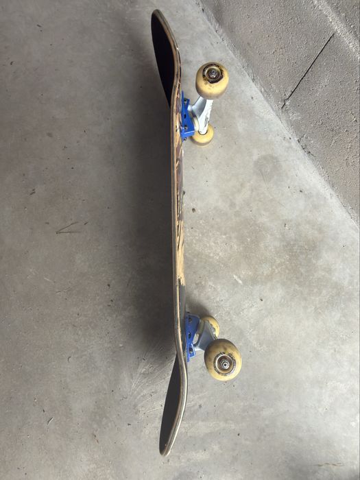 Skate Board Professional