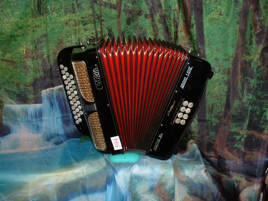 Concertina Para Venda n.594