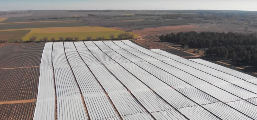 АГРОВОЛОКНО Укривне біле та чорне Мульча/Спанбонд/П-17 до П-50/Є ОПТ