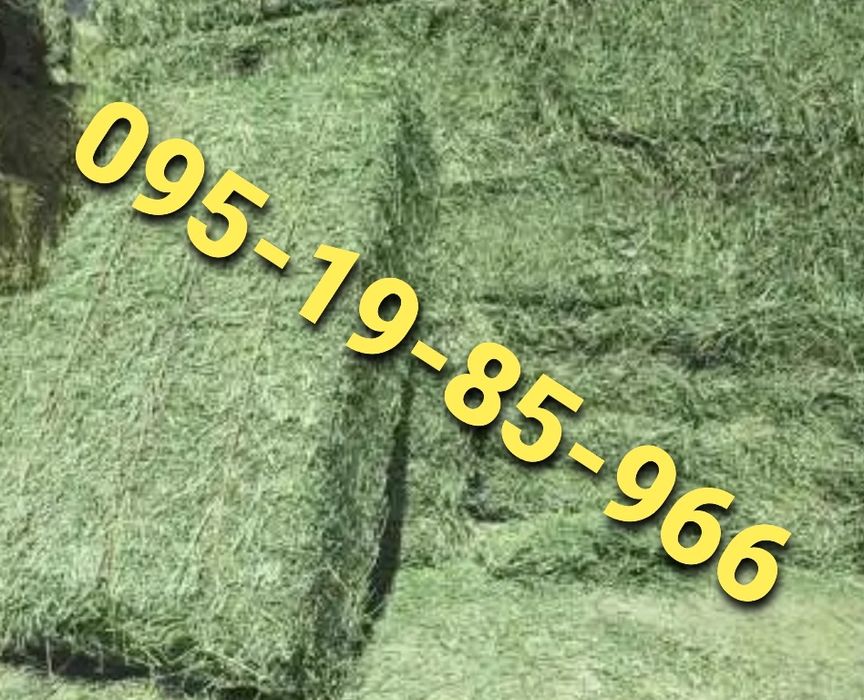 СІНО З ДОСТАВКОЮ від 1 штуки в тюках мішках, сено лісове.