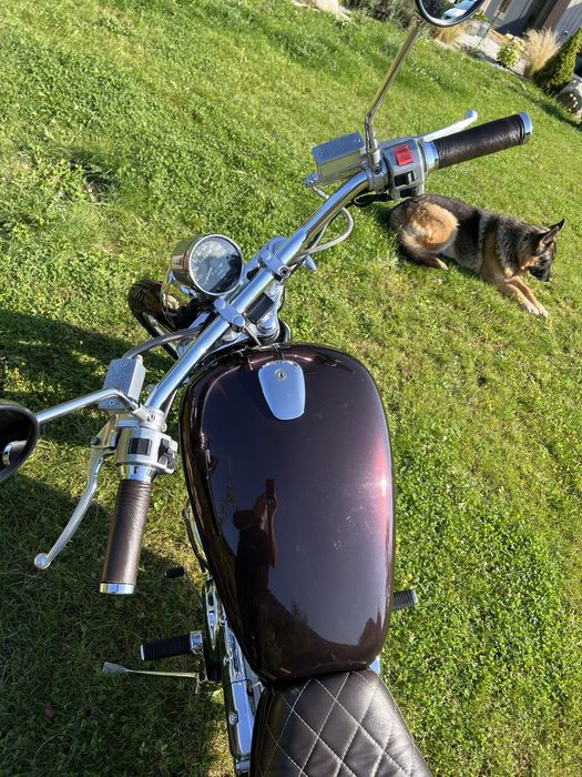 Suzuki Intruder vs 600