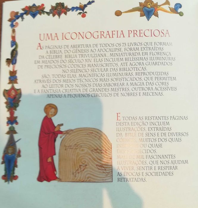 Bíblia Sagrada  Uma obra de arte única
