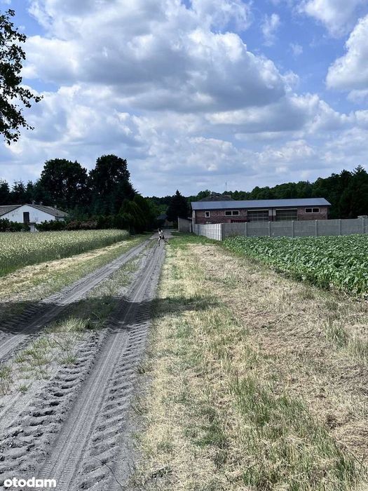 działka budowlana Stare Rowiska blisko Skierniewic