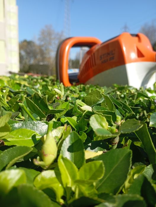 Serviços de jardinagem