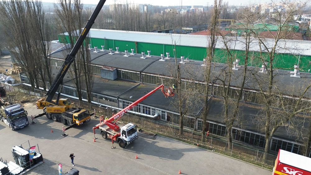 Usługa mulczowania i wycinka drzew (mulczer leśny, frezarka do pni)