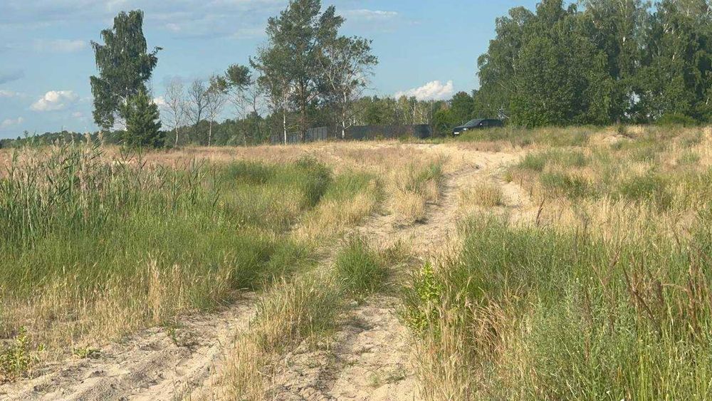 ЗЕМЕЛЬНА ДІЛЯНКА біля Києва з виходом на річку на воду вихід до Дніпра  12 сот. біля води  50 хв від Києва недорого краєвид Бориспільський рн