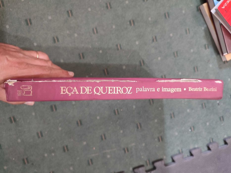 Eça de Queiróz Palavra e Imagem - Beatriz Berrini