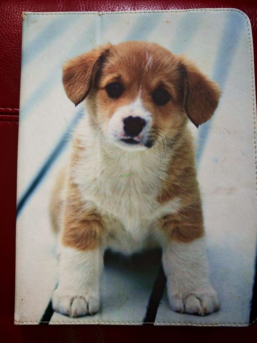 iPad 2 Apple A5 sprawny