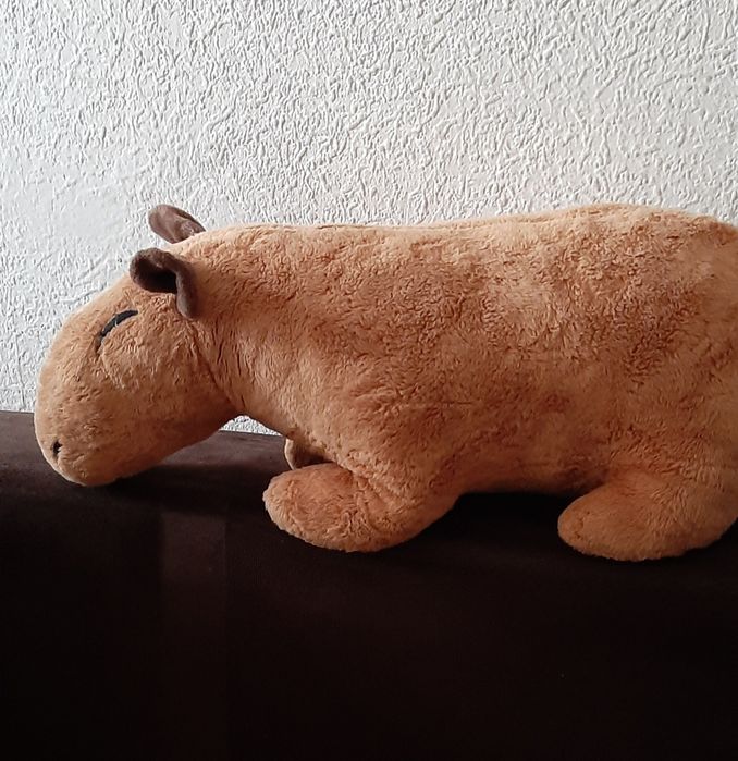Pluszak  kapibara.