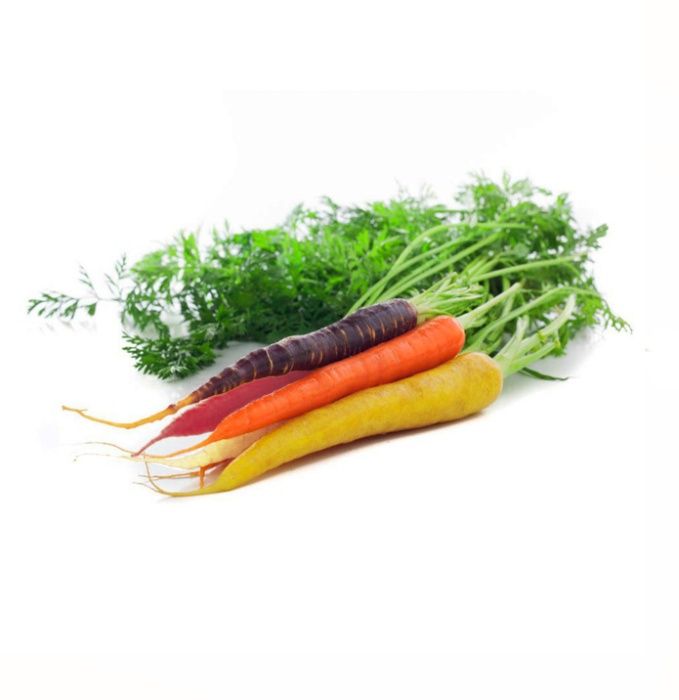 Sementes de Cenouras Mistura de Cores