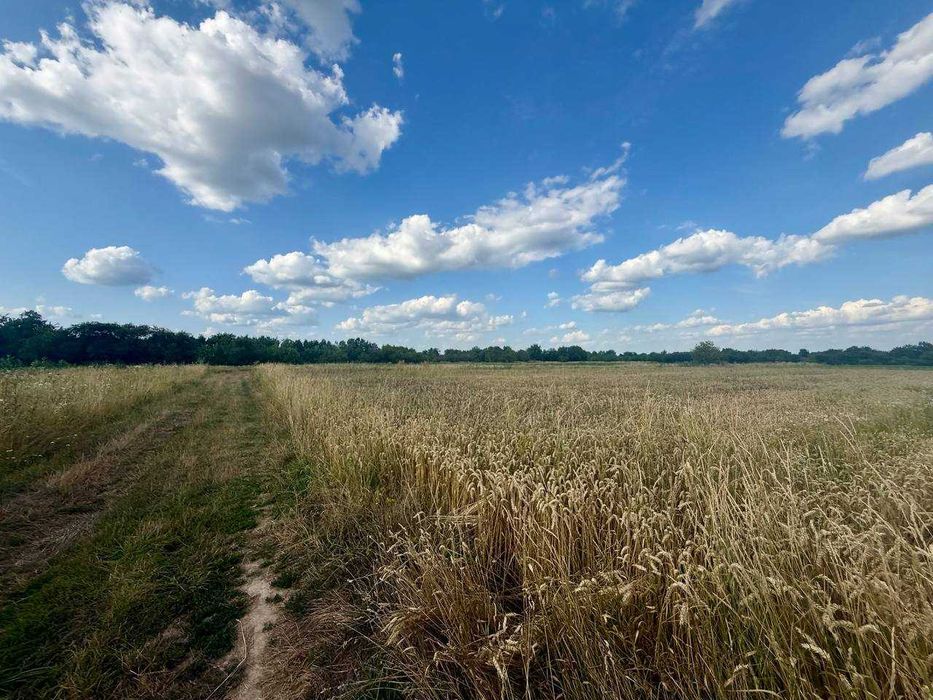 Продам ділянку під житлову забудову у с.Писарівка 7811