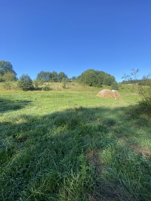 Продаж земельна ділянка 95 соток (від власника)