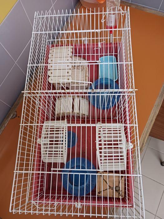 Gaiola de rato ou passaro