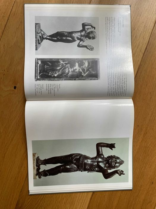 Ksiażka „Donatello”  - Wydawnictwo Arkady