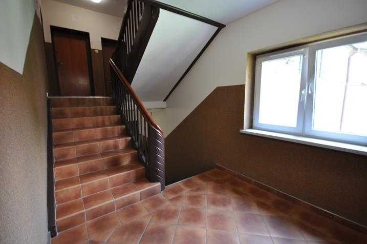 Zdjęcie 8