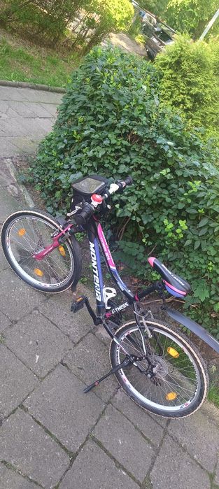 Rower Monteria Fitness 24,