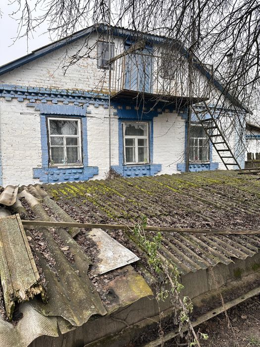 Продаж будинку з ділянкою 25 соток  с. Небелиця, Київська область