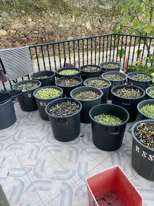 Azeite puro 0.2 acidez 6 litros 50€