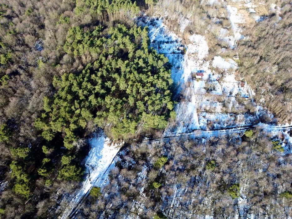 Дачні земельні ділянки біля лісу поруч з Львовом, с. Шпильчина (19 км)