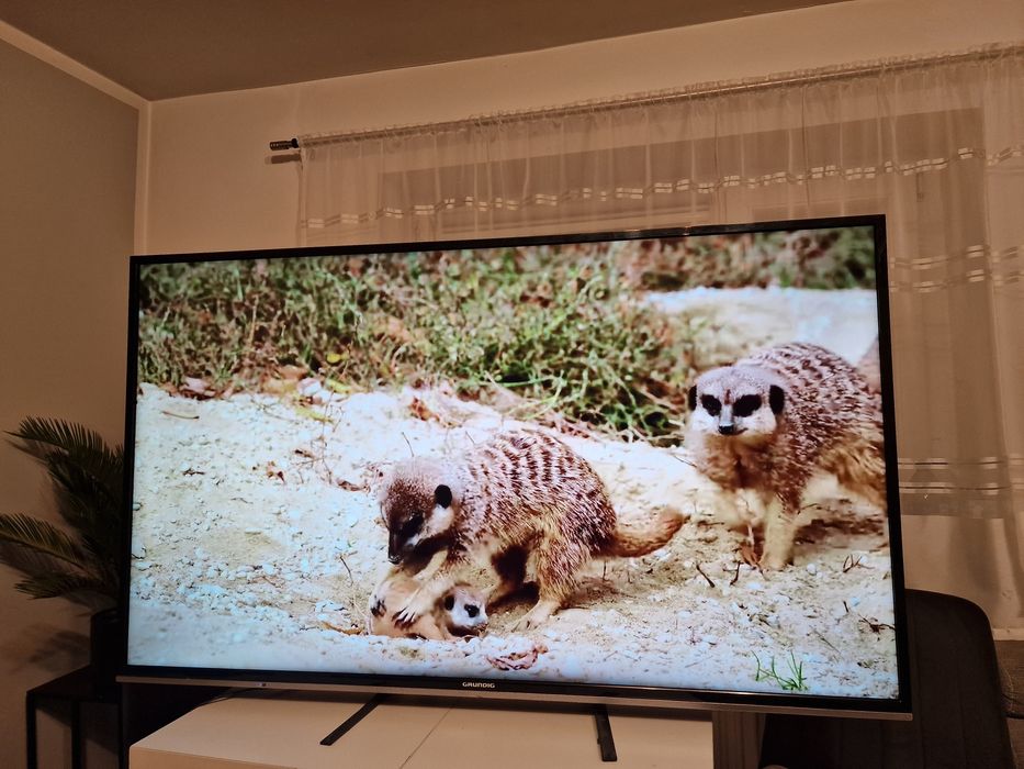 Telewizor 55cali 4K UHD Smart TV WIFI Dvb-T2