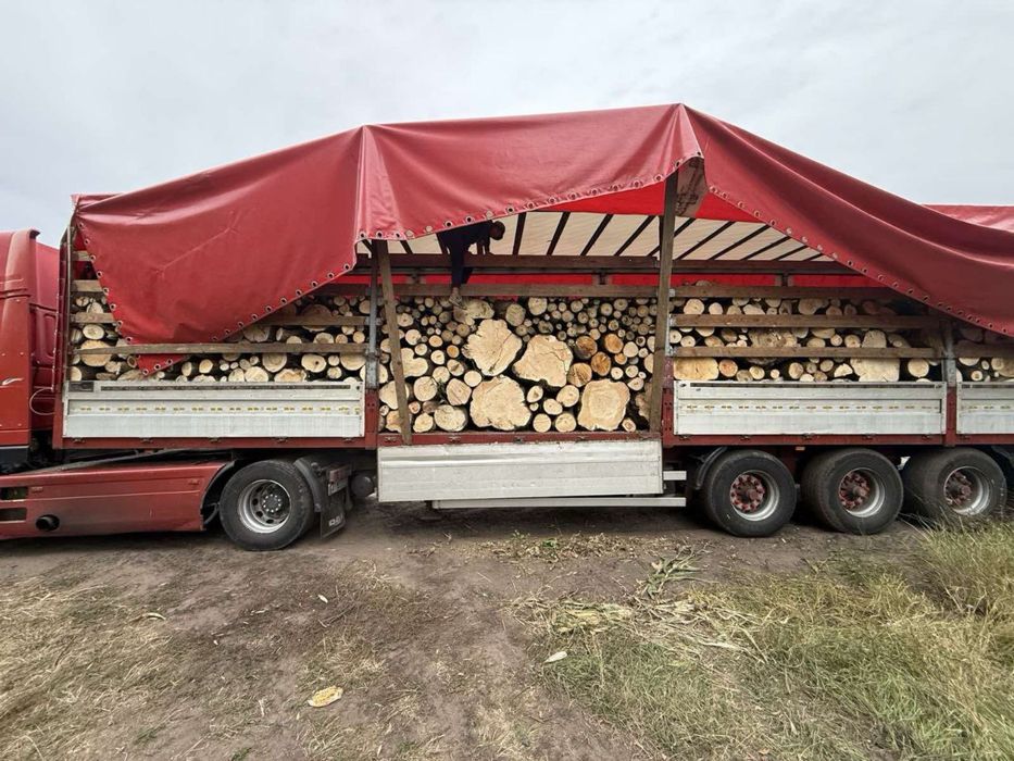 Дрова Березові з Доставкою по Києвскій обл, Береза Кругляк Метровка