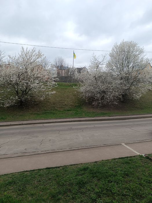 Продаж 3 кімнатної квартири в Трускавці