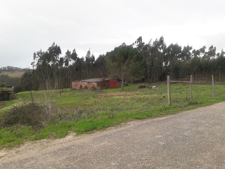 Terno com armazém em ruína